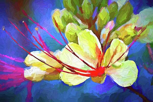 Spring Wall Art featuring the mixed media Spring Desert Flowers by Tatiana Travelways