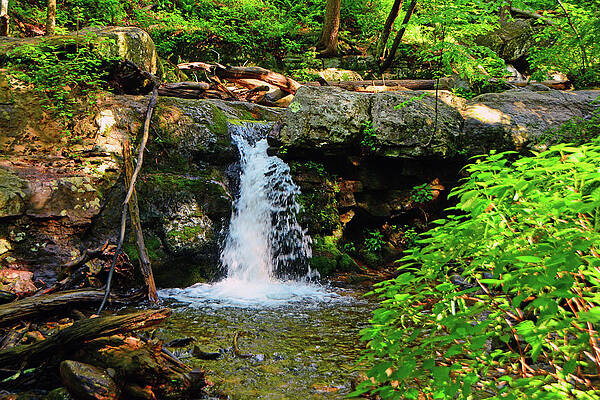 Waterfall Photograph - Spring Green Dunnfield Creek Waterfall by Raymond Salani III