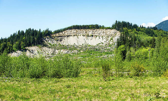 Spring Photograph - Spring Green Slide by Tom Cochran
