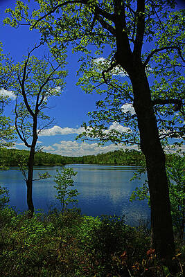 Wall Art featuring the photograph Spring Green Sunfish Pond Vertical by Raymond Salani III