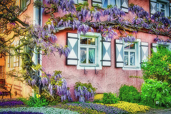 Germany Wall Art featuring the photograph Spring In Germany by Tatiana Travelways