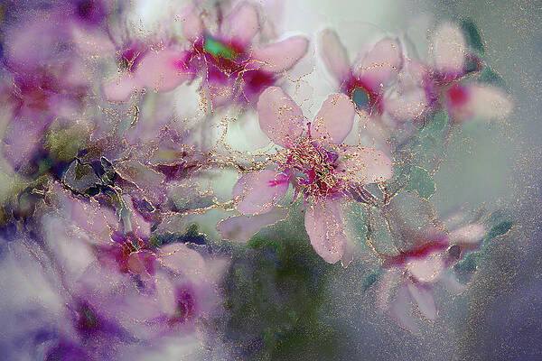 Nature Photograph - Spring Joy by Ursula Abresch