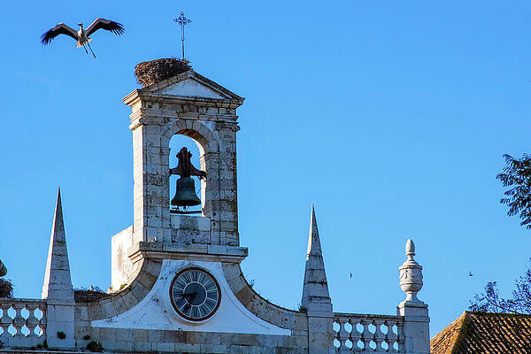 Wall Art featuring the photograph Spring Messenger In Faro, Portugal by Tatiana Travelways
