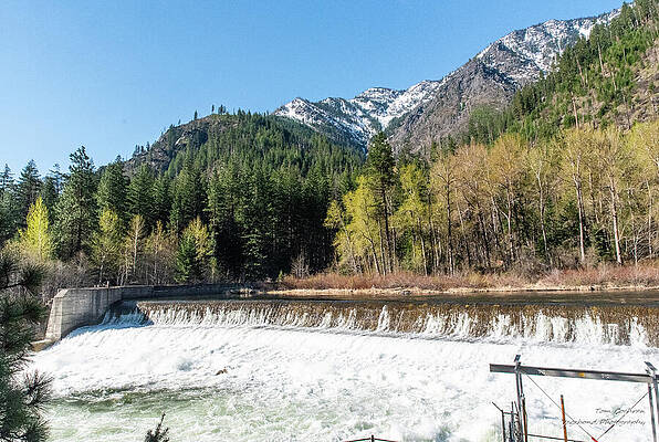 Spring Photograph - Spring Morning At Tumwater Dam by Tom Cochran