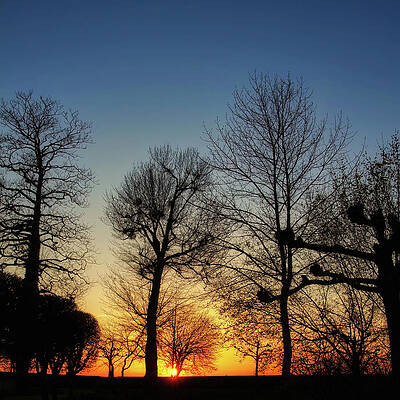 Germany Wall Art featuring the photograph Spring Sunset By Lake Constance, Germany by Tatiana Travelways