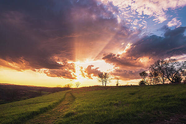Wall Art featuring the photograph Spring Sunset On The Observation Trail by Jason Fink