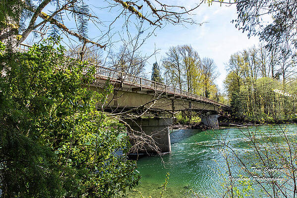 Spring Photograph - Spring Sunshine On Green Skagit River by Tom Cochran