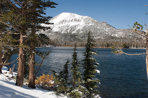 Tree Photograph - Spring Thaw Lake Mary, Mammoth Mountain, Mammoth Lakes, California by Bonnie Colgan