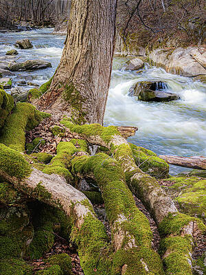 Nature Wall Art featuring the photograph Spring Thaw On The Housatonic River by Dave King
