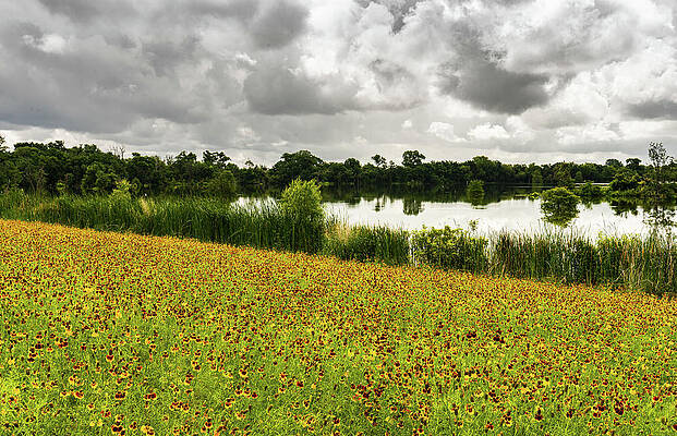 Texas Wall Art featuring the photograph Spring Wildflowers At McKinnish Park by Ron Long Ltd Photography