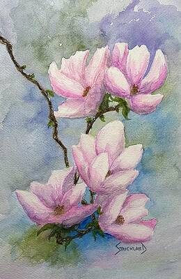 Delicate Pink Magnolia Blossoms Painting