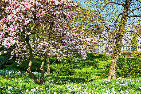 Spring Photograph - Springtime In Bavaria, Germany by Tatiana Travelways