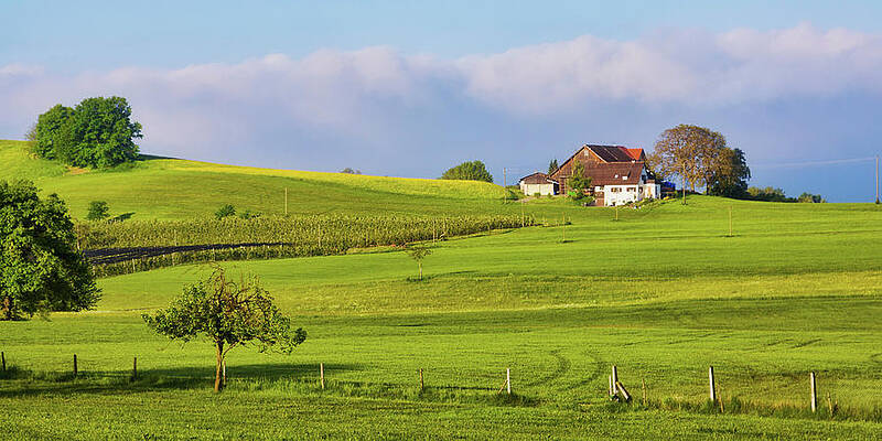 Tree Wall Art featuring the photograph Springtime In Bavaria by Tatiana Travelways