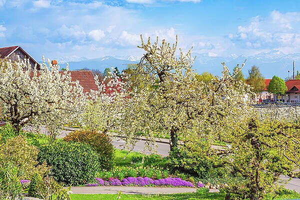 Germany Photograph - Springtime In Nonnenhorn, Germany by Tatiana Travelways