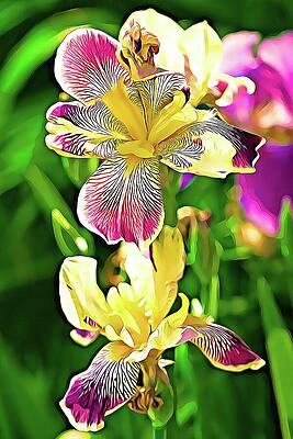 Vibrant Wall Art featuring the mixed media Springtime Iris Flowers by Tatiana Travelways