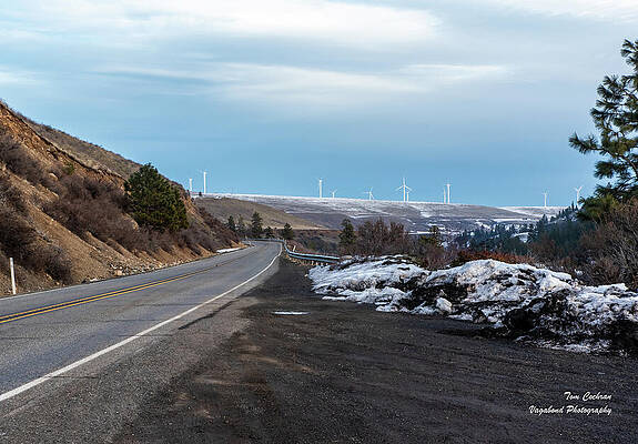Road with Distant Wind Turbines Wall Art