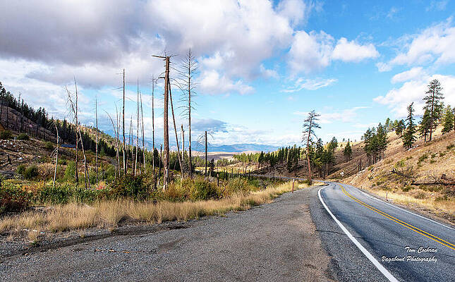State Route 20 Photograph - SR 20 At Loup Loup Pass by Tom Cochran