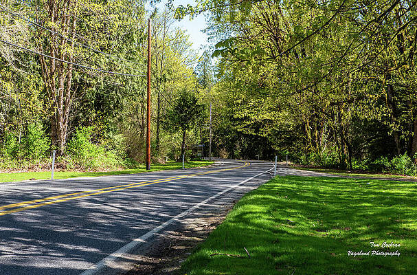 State Route 20 Photograph - SR 20 Curve Near Wildwood Chapel by Tom Cochran
