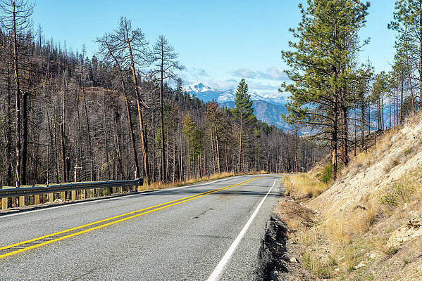 State Route 20 Photograph - SR 20 Firebreak At Loup Loup Pass by Tom Cochran