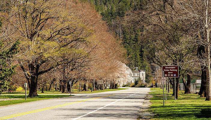 State Route 20 Photograph - SR 20 Through Newhalem by Tom Cochran