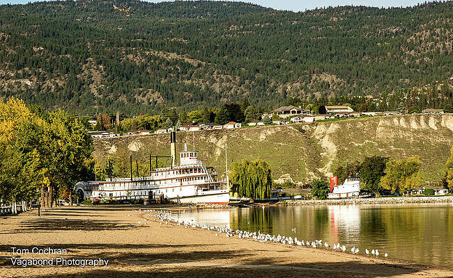 Beach Photograph - SS Sicamous Beached At Penticton by Tom Cochran