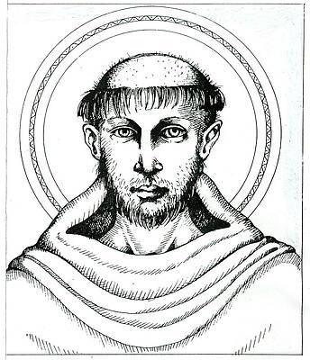 Halo Wall Art featuring the drawing St Francis by William Hart McNichols