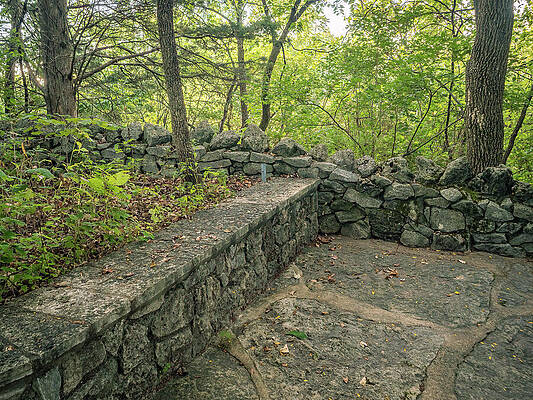 Tree Photograph - St. Louis - Mastodon Park by Robert Niemeier