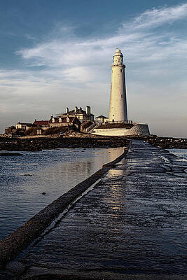 Photograph - St. Mary's Lighthouse by Francisco Ruiz Navas