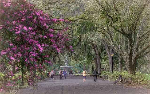 Spring Photograph - St. Patrick's Day In Forsythe Park, Savannah by Marcy Wielfaert