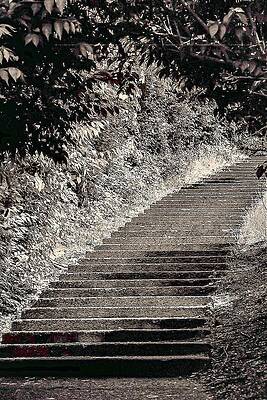 Wall Art featuring the photograph Stairs1 by John Linnemeyer