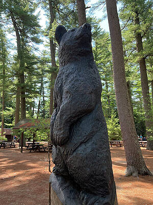 Sunny Day Wall Art featuring the photograph StandingTall by Doreen Rosselli