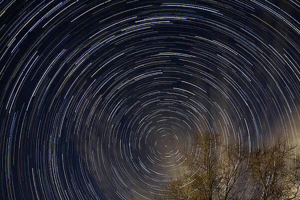 Wall Art featuring the photograph Star Trails From My Backyard by Brian Weber