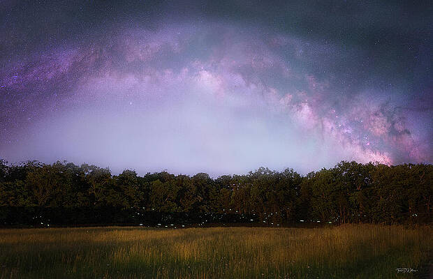 Sky Photograph - Stars And Fireflies Big South Fork by Theresa D Williams Smoky Mountains