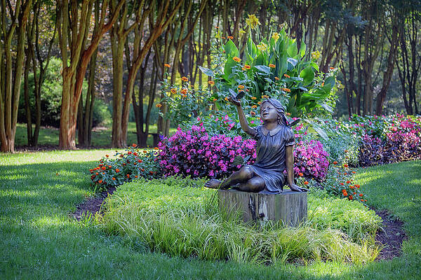 Serene Wall Art featuring the photograph Statue by Cindy Robinson