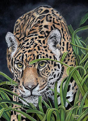 Wildlife Painting - Stealth Stalker by Mark Ray