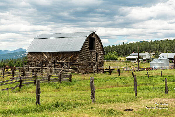 Wall Art featuring the photograph Steel Roofed Barn In Teanaway by Tom Cochran