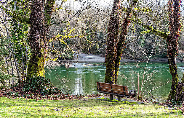 2023 Photograph - Steelhead Park Bench And Sauk Boat Ramp by Tom Cochran