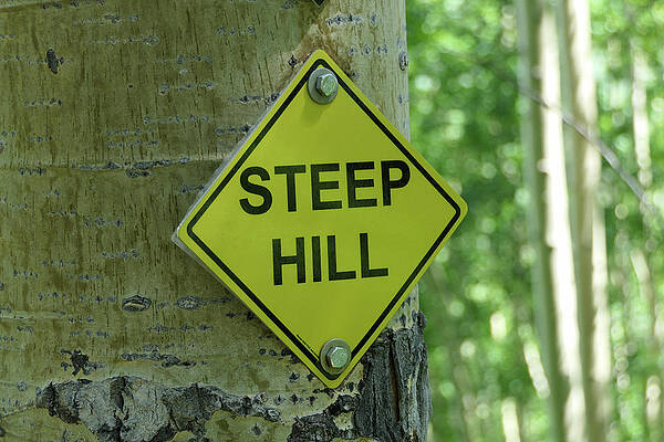 Wall Art featuring the photograph Steep Hill by Sunniye Buesing