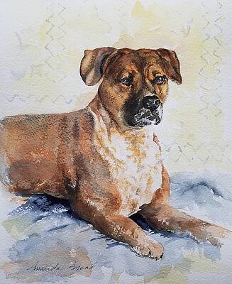 Animal Painting - Stella by Amanda Amend