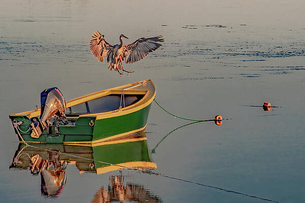 Sunset Photograph - Sticking The Landing by Marcy Wielfaert