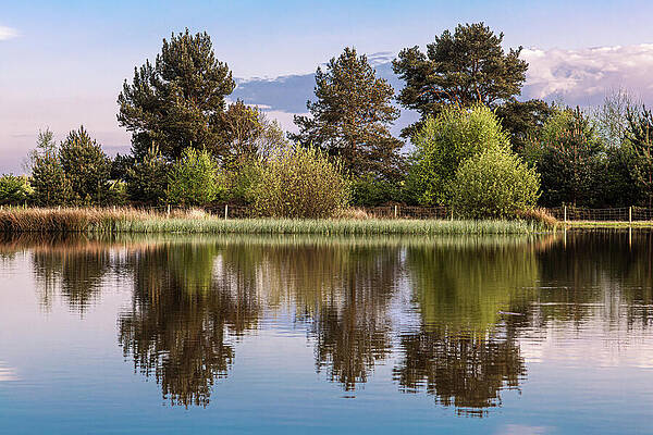 Sky Wall Art featuring the photograph Still Water Reflections by Francisco Ruiz Navas