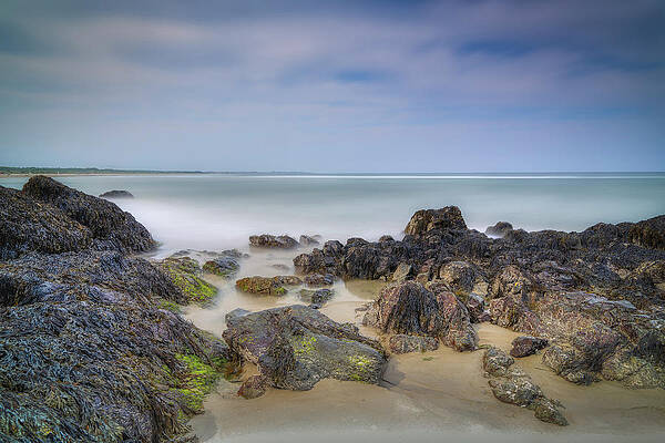 Wall Art featuring the photograph Stillness And Hope by Penny Polakoff