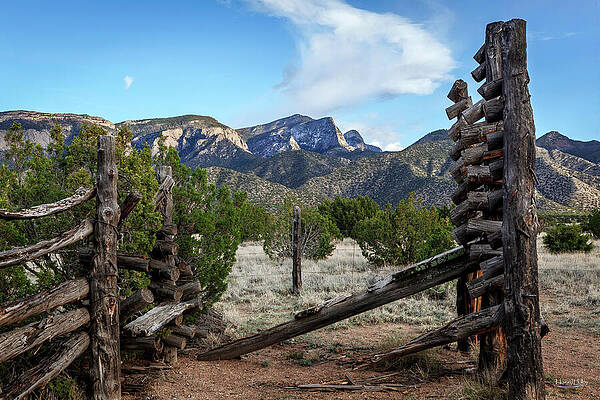 Stillness in the Forgotten by Howard Holley