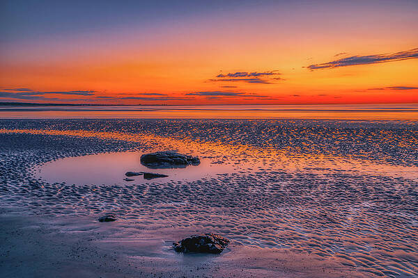 Wall Art featuring the photograph Stillness On Marginal Way by Penny Polakoff