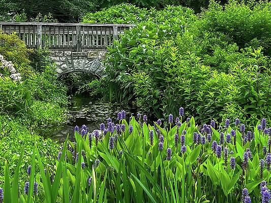 Wall Art featuring the photograph Stone Bridge In Bloom by Deb Beausoleil