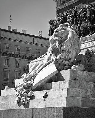 Wall Art featuring the photograph Stone Lion by Steven Nelson
