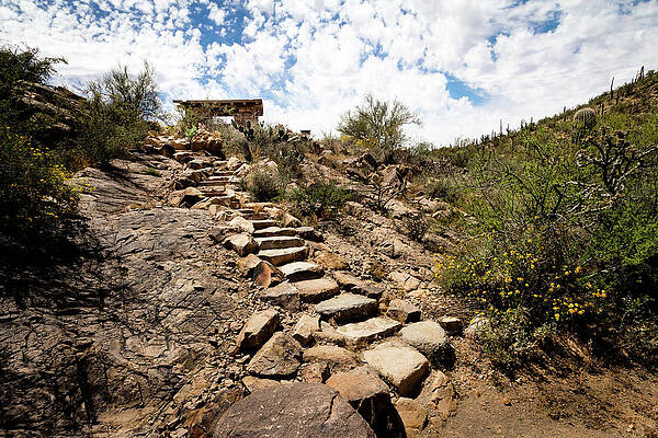Desert Photograph - Stone Stairs To Desert Picnic Oasis by Craig A Walker