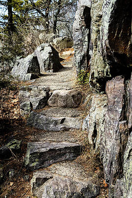 Photograph - Stone Steps On Trail by Craig A Walker