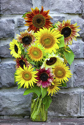 Spring Photograph - Stone Sunflowers by Gina Fitzhugh