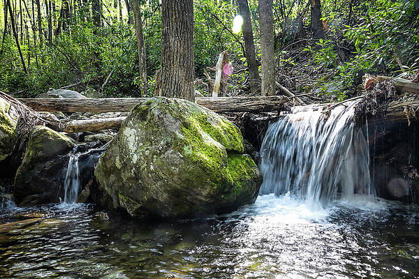 Wall Art featuring the photograph Stony Fork by Steven Nelson
